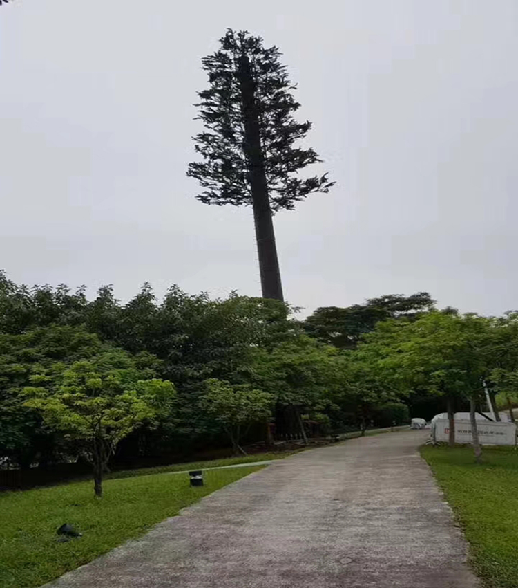 美化树
