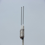 AP omnidirectional antennas